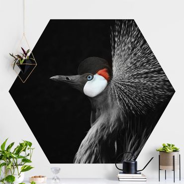Papier peint hexagonal autocollant avec dessins - Black Crowned Crane