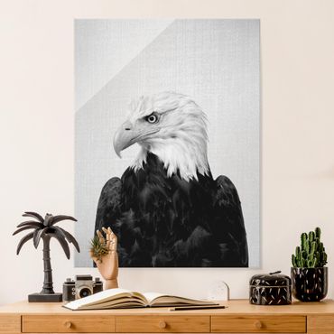 Tableau en verre - Sea Eagle Socrates Black And White