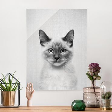 Tableau en verre - Siamese Cat Sibylle Black And White