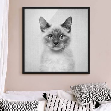Poster encadré - Siamese Cat Sibylle Black And White