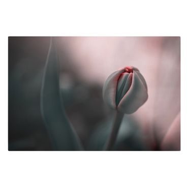 Impression sur toile - Tulipe sensuelle - Format paysage 3:2