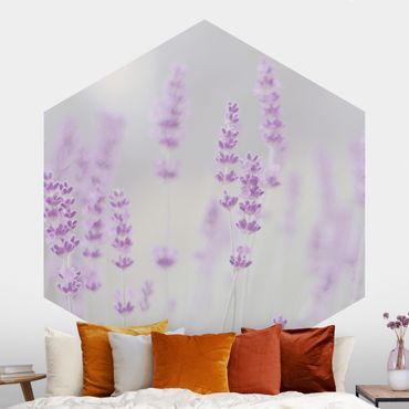 Papier peint hexagonal autocollant avec dessins - Summer In A Field Of Lavender
