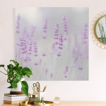 Impression sur toile - Summer In A Field Of Lavender
