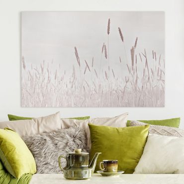 Tableau sur toile - Summerly Reed Grass
