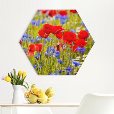 Hexagone en alu Dibond - Summer Meadow With Poppies And Cornflowers