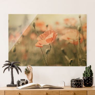 Glass print - Sun-Kissed Poppy Fields
