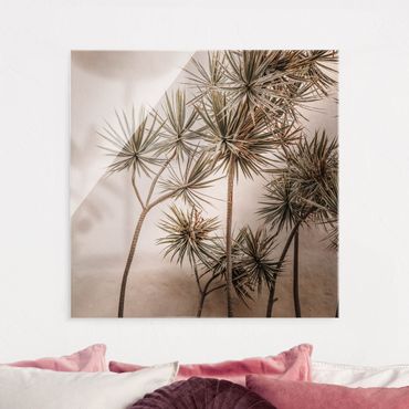 Glass print - Sun-Kissed Palm Trees