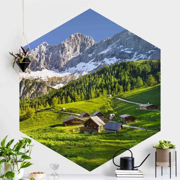 Papier peint hexagonal autocollant avec dessins - Styria Alpine Meadow