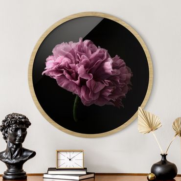 Tableau rond encadré - Proud Peony In Front Of Black