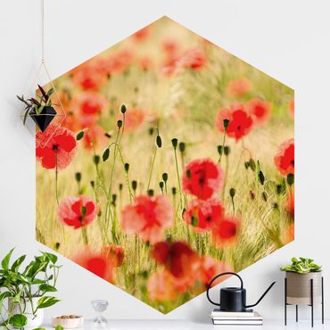 Papier peint hexagonal autocollant avec dessins - Summer Poppies