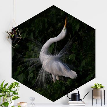 Papier peint hexagonal autocollant avec dessins - Dancing Egrets In Front Of Black