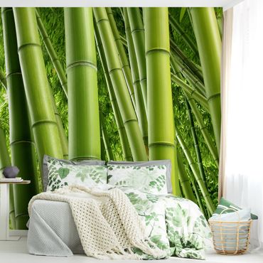Papier peint - Bamboo Trees