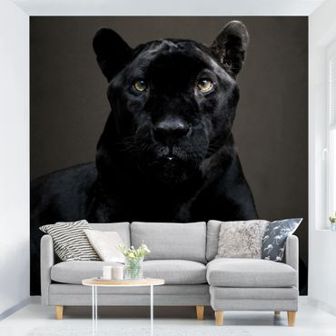 Papier peint - Black Puma