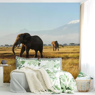 Papier peint - Elephants In Front Of The Kilimanjaro In Kenya