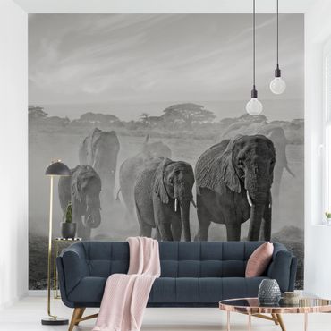Papier peint - Herd Of Elephants