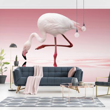 Papier peint - Flamingo Dance