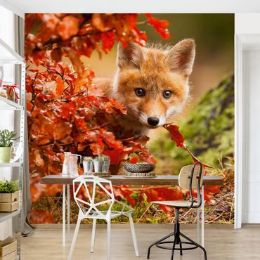 Papier peint - Fox In Autumn