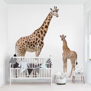 Papier peint - Giraffe Mother And Child