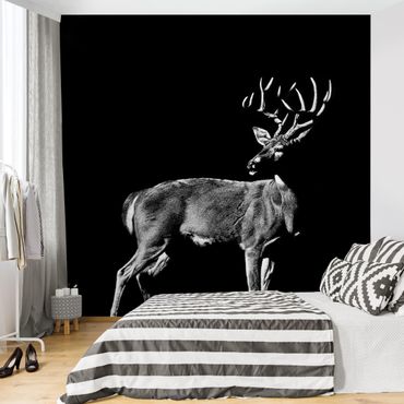 Papier peint - Deer In The Dark