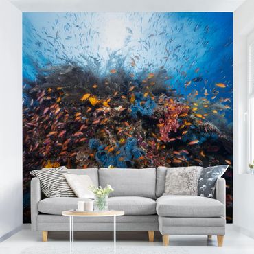 Papier peint - Lagoon With Fish
