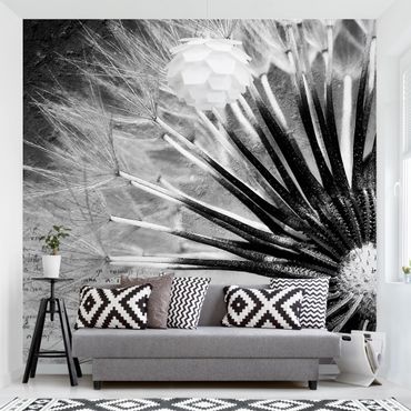 Papier peint - Dandelion Black & White