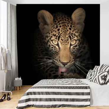 Papier peint - Resting Leopard