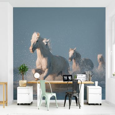 Papier peint - Herd Of White Horses