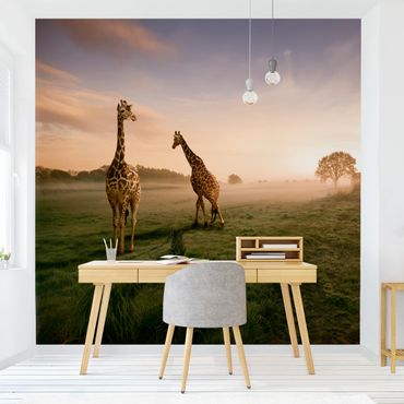 Papier peint - Surreal Giraffes