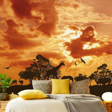 Papier peint - Tanzania Sunset