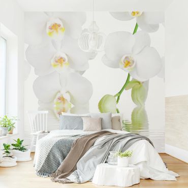 Papier peint - Spa Orchid - White Orchid
