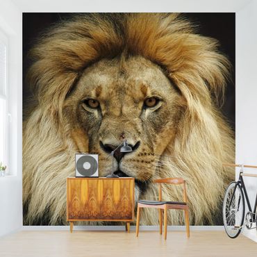 Papier peint - Wisdom Of Lion