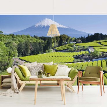 Papier peint - Tea Fields In Front Of The Fuji