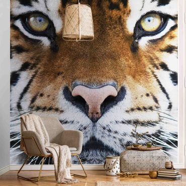 Metallic wallpaper - Tiger Eyes