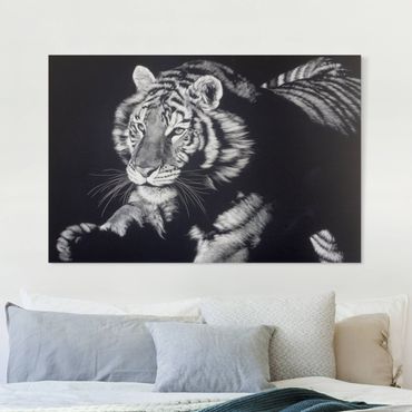 Impression sur toile - Tiger In The Sunlight On Black - Format paysage 3x2