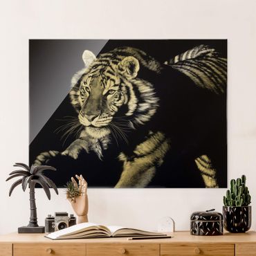 Tableau en verre - Tiger In The Sunlight On Black - Format paysage