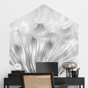 Papier peint hexagonal autocollant avec dessins - Beautiful Dandelion Black And White