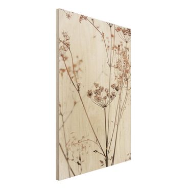 Tableau en bois - Dried Flower With Light And Shadows