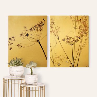 Impression sur toile - Dried Flowers Set