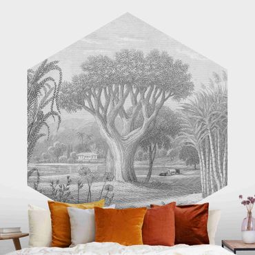 Papier peint panoramique hexagonal autocollant - Tropical Copperplate Engraving Garden With Pond In Grey