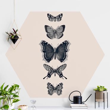 Papier peint hexagonal autocollant avec dessins - Ink Butterflies On Beige Backdrop