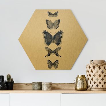 Hexagone en alu Dibond - Ink Butterflies On Beige Backdrop