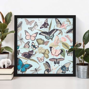 Poster encadré - Vintage Collage - Butterflies And Dragonflies