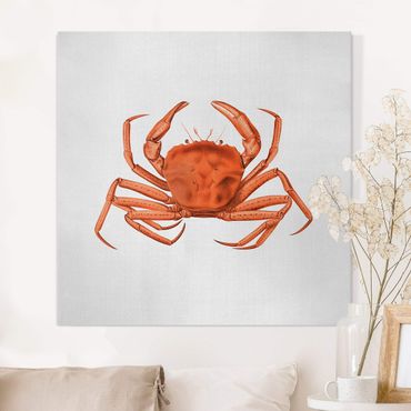 Tableau sur toile - Vintage Illustration Red Crab - Carré 1:1