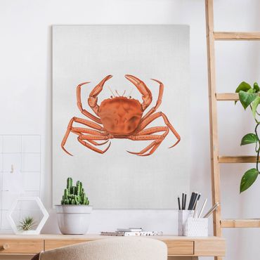 Tableau sur toile - Vintage Illustration Red Crab - Format portrait 3:4