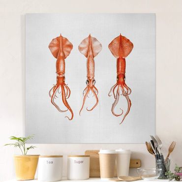 Tableau sur toile - Vintage Illustration Red Squid - Carré 1:1