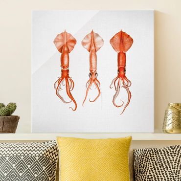 Tableau en verre - Vintage Illustration Red Squid