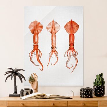 Tableau en verre - Vintage Illustration Red Squid