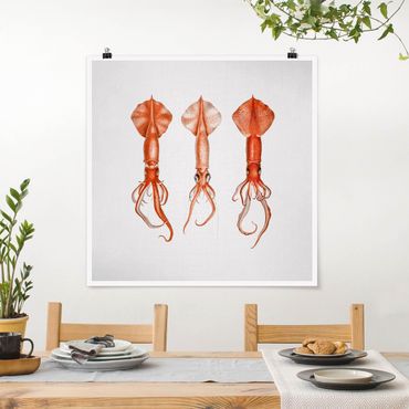 Poster reproduction - Vintage Illustration Red Squid