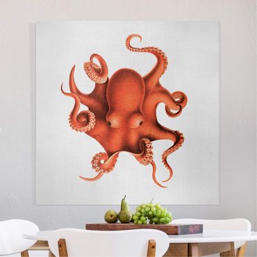 Tableau sur toile - Vintage Illustration Red Octopus - Carré 1:1