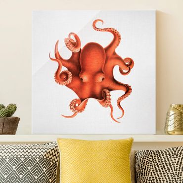 Tableau en verre - Vintage Illustration Red Octopus